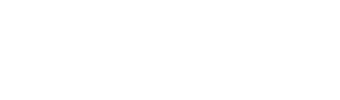 Timaru district holdings ltd logo